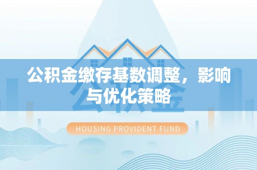 陆丰公积金缴存基数调整，影响与优化策略