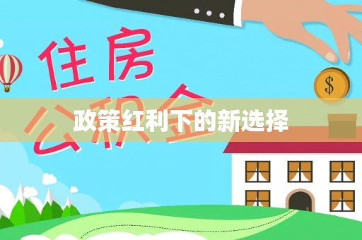 陆丰政策红利下的新选择