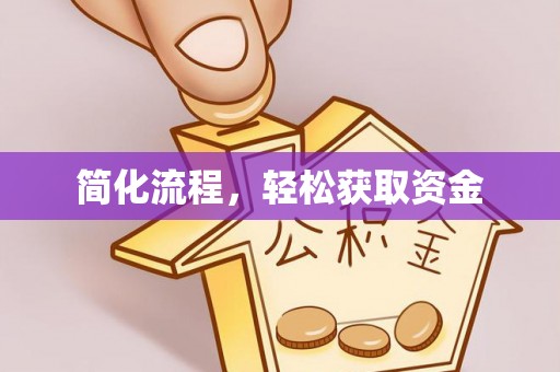 陆丰简化流程，轻松获取资金