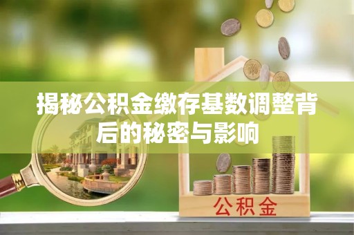 陆丰揭秘公积金缴存基数调整背后的秘密与影响