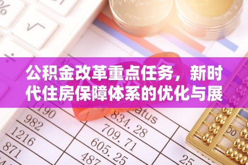 陆丰公积金改革重点任务，新时代住房保障体系的优化与展望