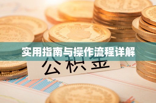 陆丰实用指南与操作流程详解
