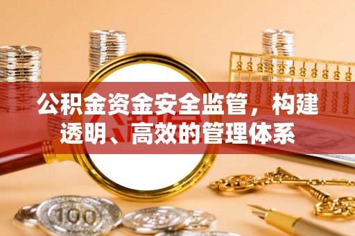 陆丰公积金资金安全监管，构建透明、高效的管理体系