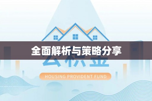陆丰全面解析与策略分享