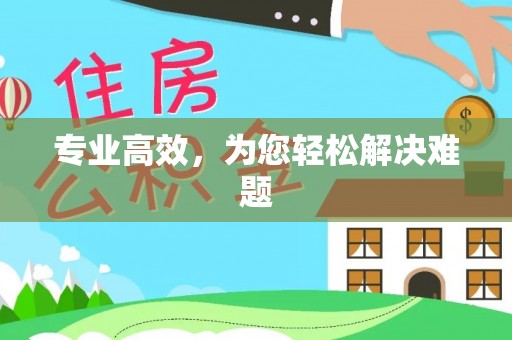 陆丰专业高效，为您轻松解决难题