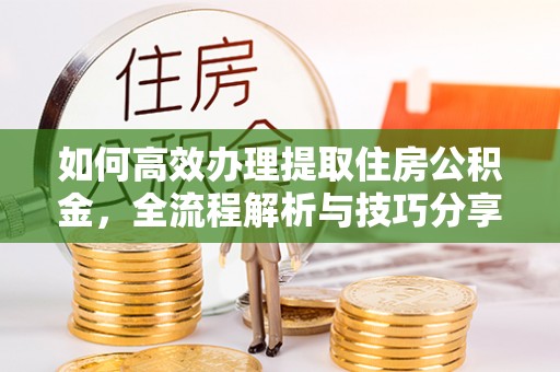 陆丰如何高效办理提取住房公积金，全流程解析与技巧分享