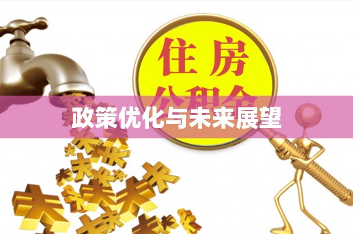 陆丰政策优化与未来展望