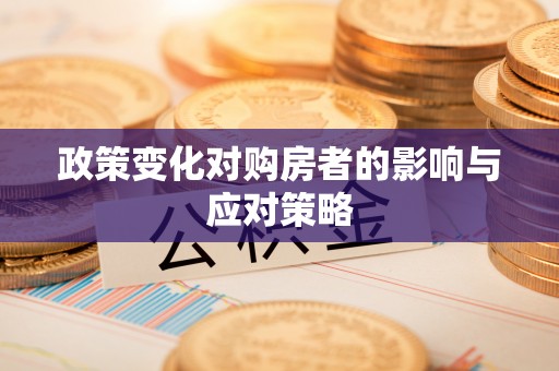 陆丰政策变化对购房者的影响与应对策略