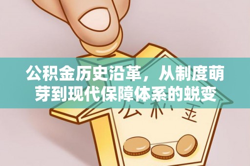 陆丰公积金历史沿革，从制度萌芽到现代保障体系的蜕变