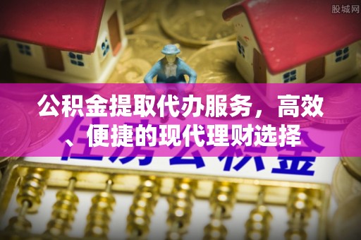 陆丰公积金提取代办服务，高效、便捷的现代理财选择