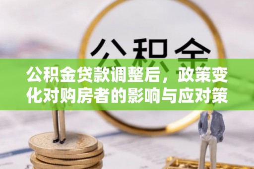 陆丰公积金贷款调整后，政策变化对购房者的影响与应对策略
