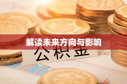 陆丰解读未来方向与影响
