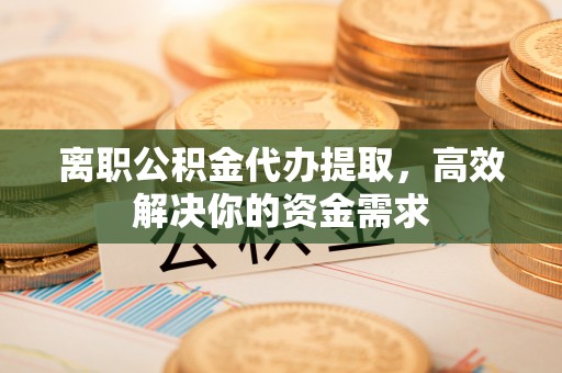 陆丰离职公积金代办提取，高效解决你的资金需求