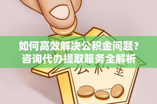 陆丰如何高效解决公积金问题？咨询代办提取服务全解析