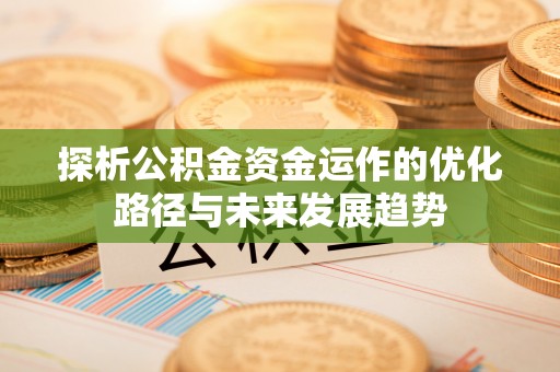 陆丰探析公积金资金运作的优化路径与未来发展趋势