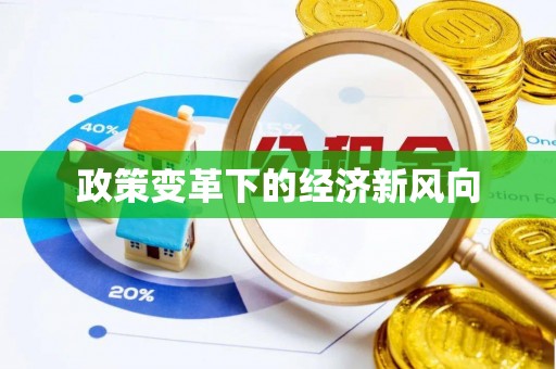 陆丰政策变革下的经济新风向