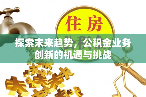陆丰探索未来趋势，公积金业务创新的机遇与挑战