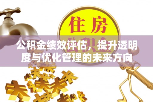 陆丰公积金绩效评估，提升透明度与优化管理的未来方向