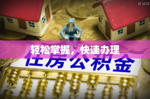陆丰轻松掌握，快速办理