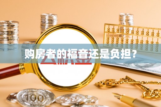 陆丰购房者的福音还是负担？