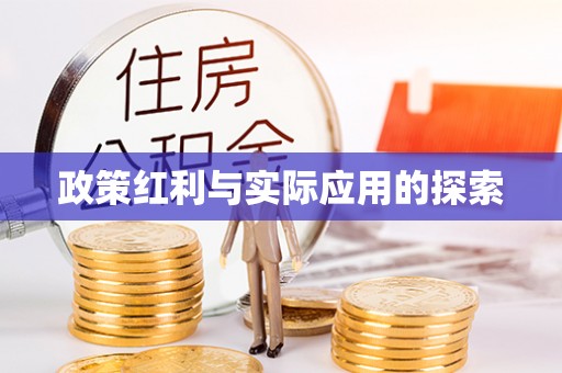 陆丰政策红利与实际应用的探索