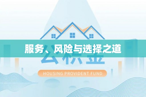 陆丰服务、风险与选择之道