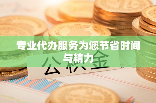陆丰专业代办服务为您节省时间与精力