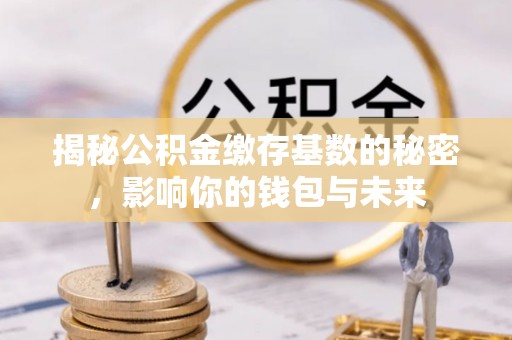 陆丰揭秘公积金缴存基数的秘密，影响你的钱包与未来