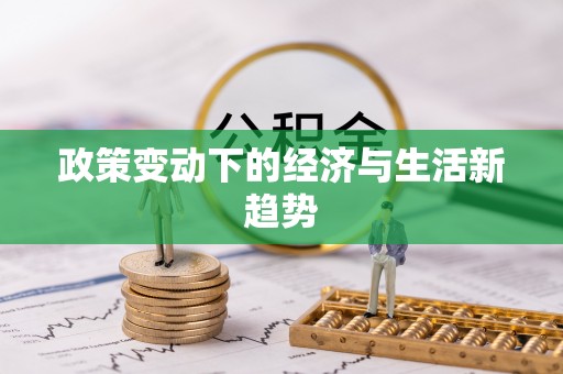 陆丰政策变动下的经济与生活新趋势