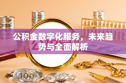陆丰公积金数字化服务，未来趋势与全面解析