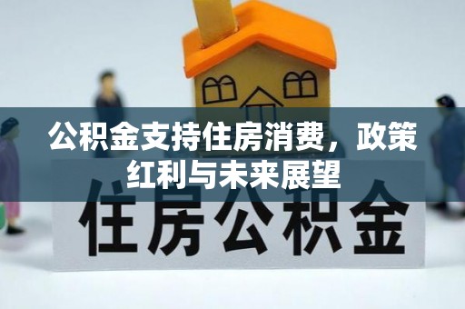 陆丰公积金支持住房消费，政策红利与未来展望