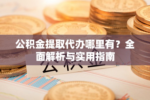 陆丰公积金提取代办哪里有？全面解析与实用指南