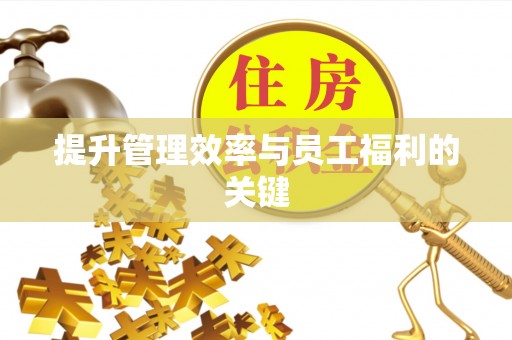 陆丰提升管理效率与员工福利的关键