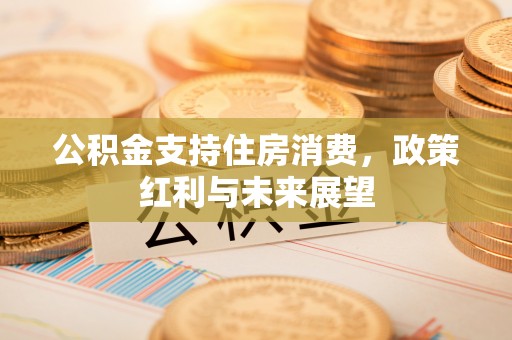 陆丰公积金支持住房消费，政策红利与未来展望