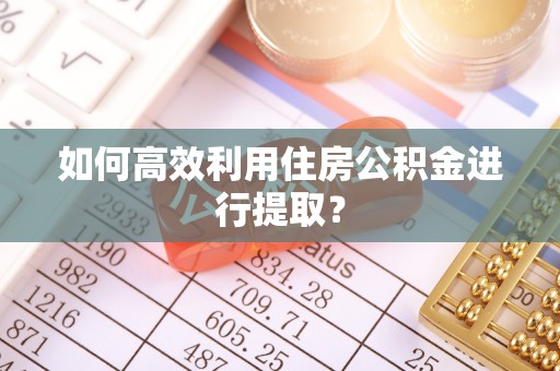 陆丰如何高效利用住房公积金进行提取？