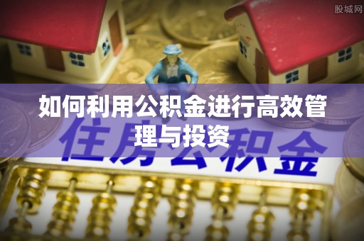 陆丰如何利用公积金进行高效管理与投资