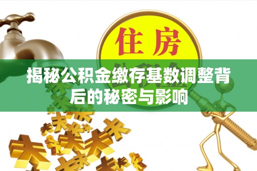 陆丰揭秘公积金缴存基数调整背后的秘密与影响