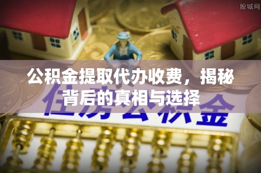 陆丰公积金提取代办收费，揭秘背后的真相与选择