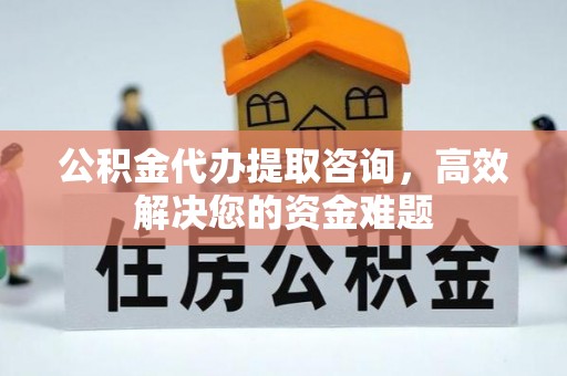 陆丰公积金代办提取咨询，高效解决您的资金难题