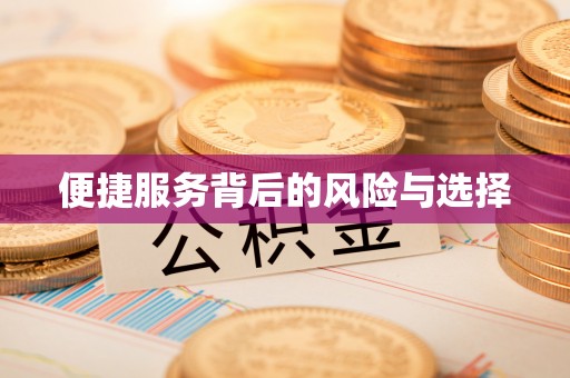 陆丰便捷服务背后的风险与选择