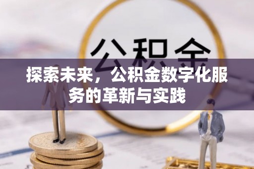 陆丰探索未来，公积金数字化服务的革新与实践