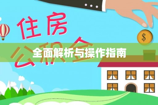 陆丰全面解析与操作指南