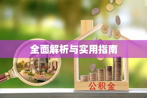 陆丰全面解析与实用指南