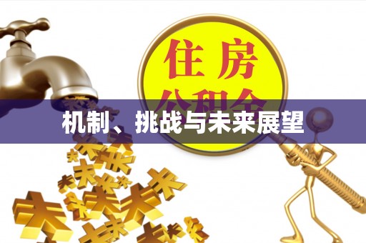 陆丰机制、挑战与未来展望