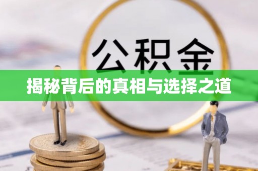 陆丰揭秘背后的真相与选择之道