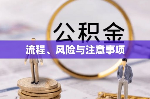 陆丰流程、风险与注意事项