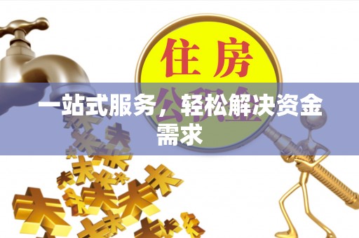 陆丰一站式服务，轻松解决资金需求