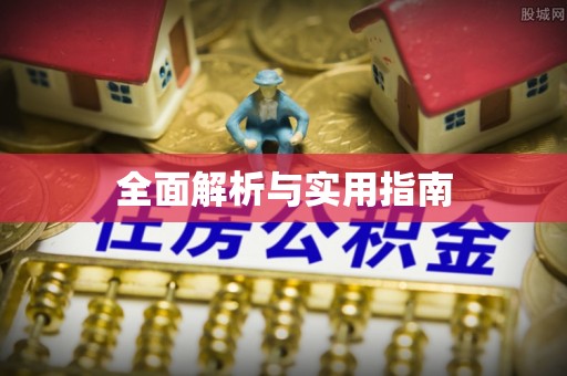 陆丰全面解析与实用指南
