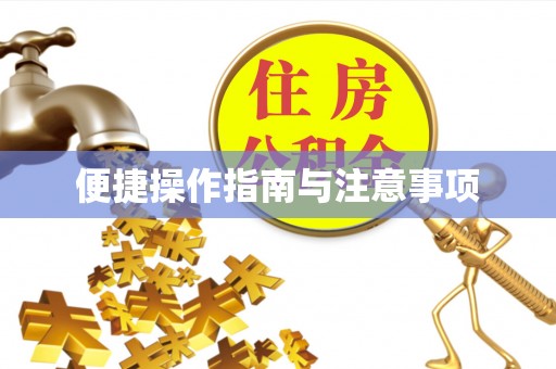 陆丰便捷操作指南与注意事项