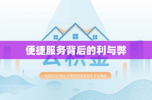 陆丰便捷服务背后的利与弊